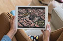 Tablet Buying Guide