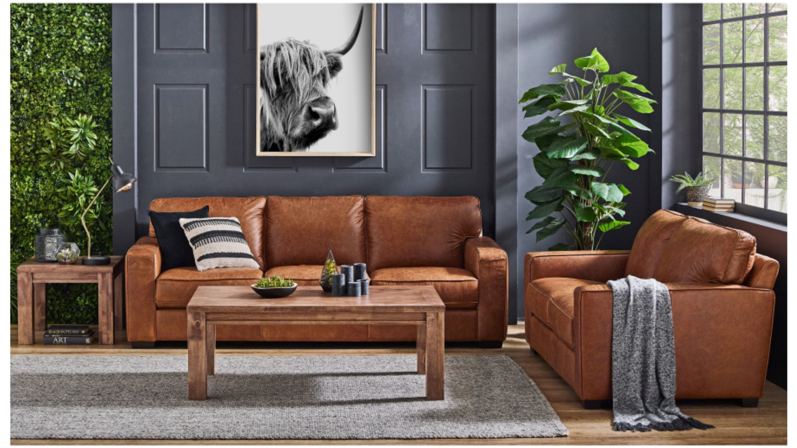 Harvey norman lounges leather deals