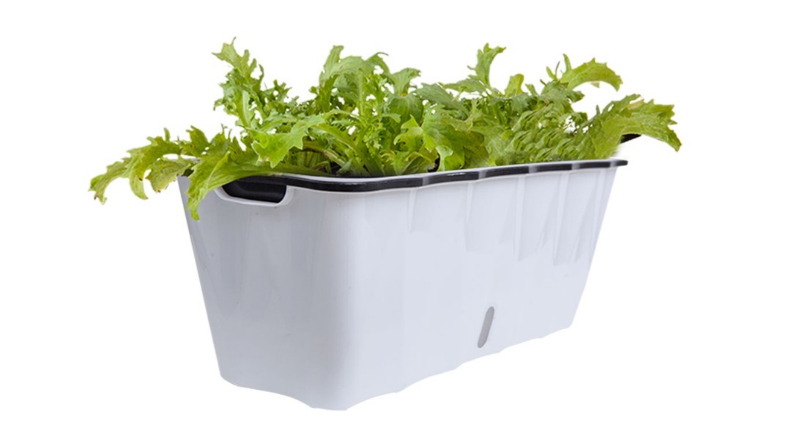 Soga Large Rectangular Planter -  White