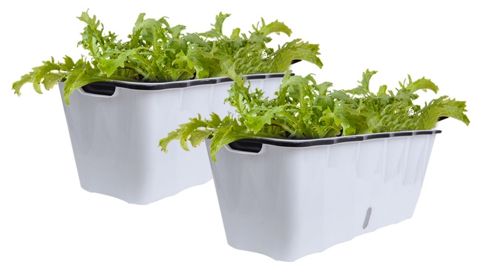 Soga Large White Rectangular Planter - Set of 2