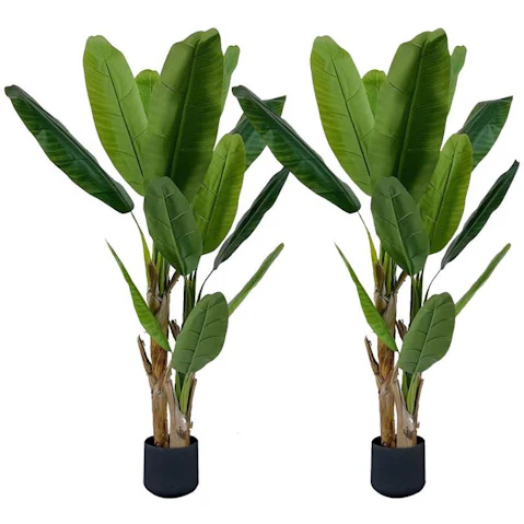 Soga 2 Piece Banna Bird of Paradise Tree - 220cm