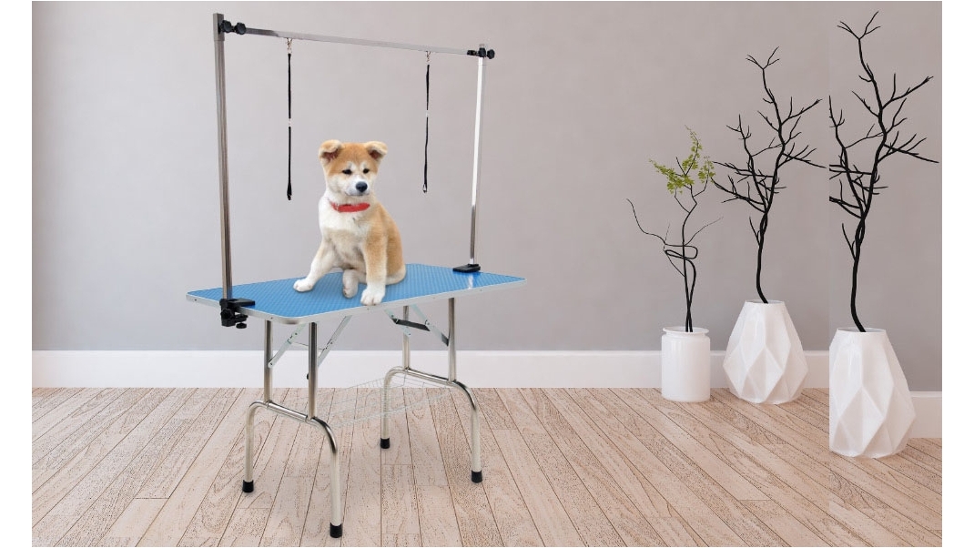 Paw Mate Pet Grooming Salon Dual Table 120cm Blue Harvey Norman