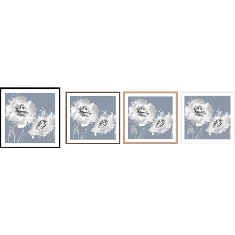 La Grolla Flower Burst on Grey II Frame Wall Art