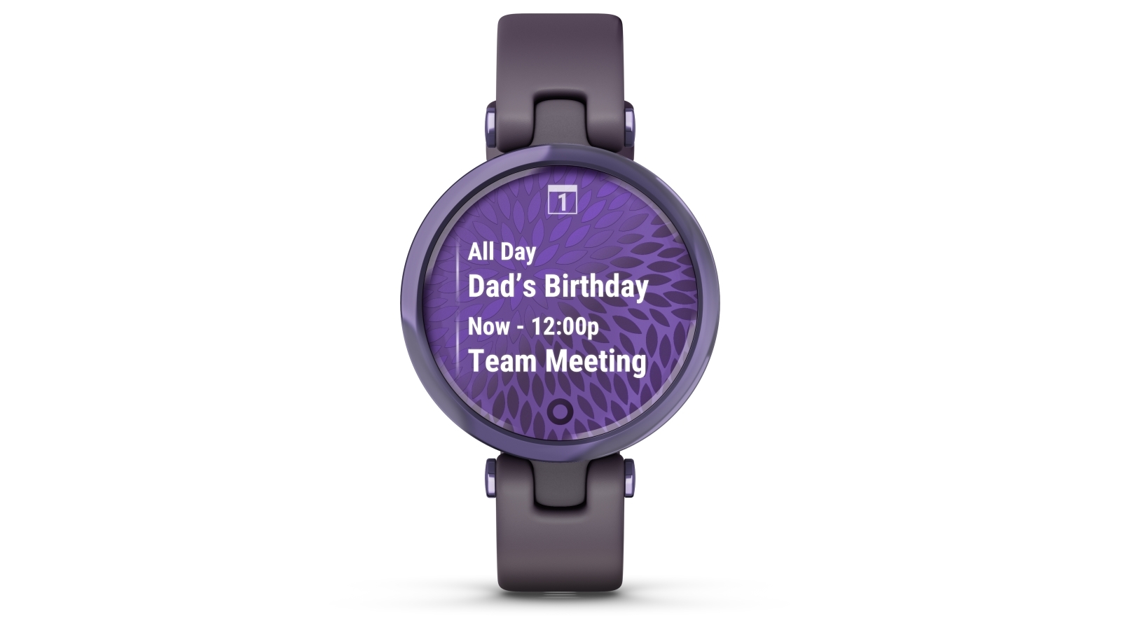 Garmin Lily Sport Edition Smart Watch Midnight Orchid with Deep Orchid Case Harvey Norman