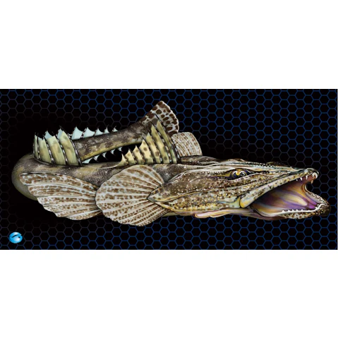 Anbi Switch Deluxe Helm Mat - Flathead