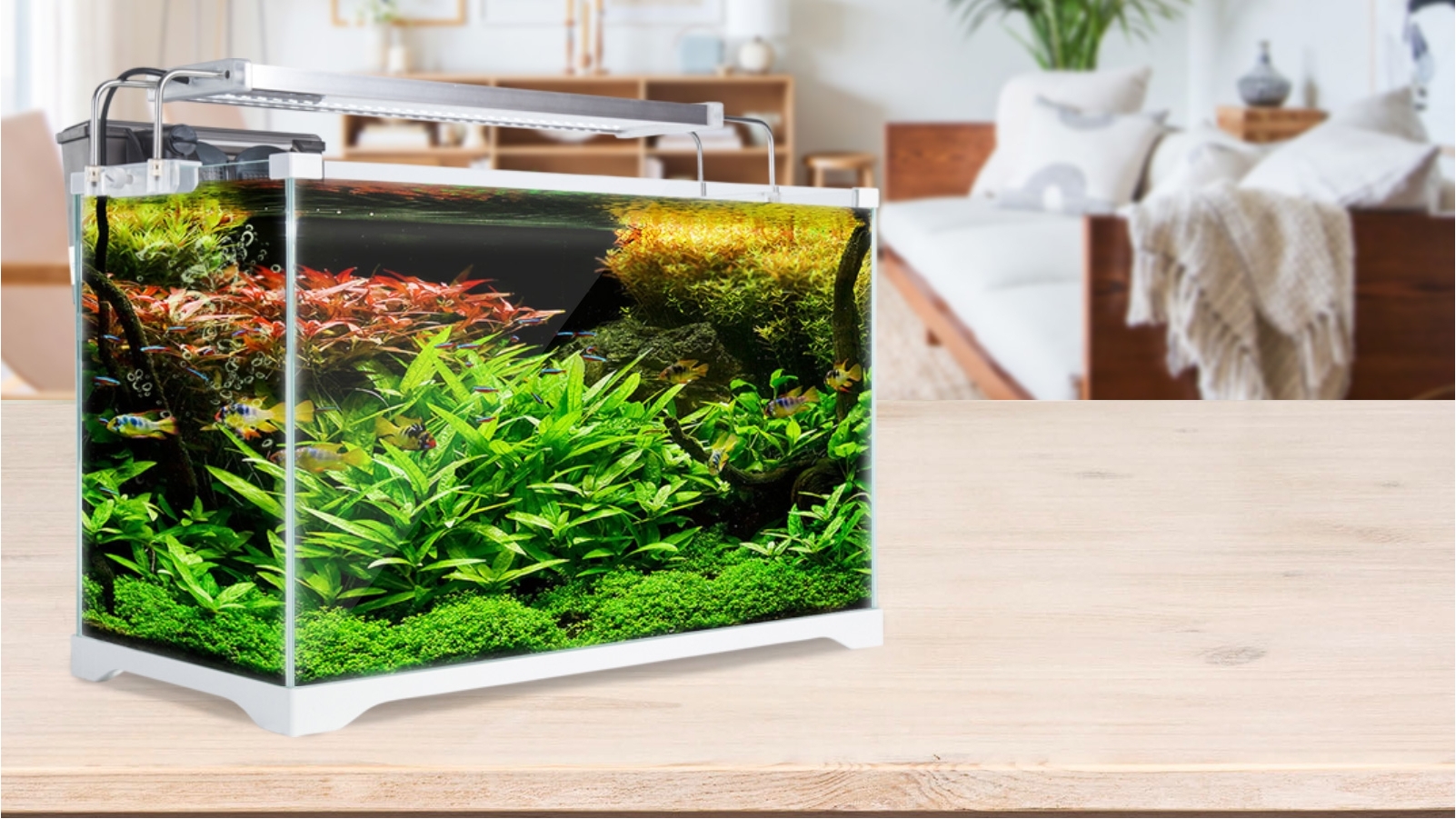 Dynamic Power Starfire Glass Aquarium Fish Tank 39L Harvey Norman