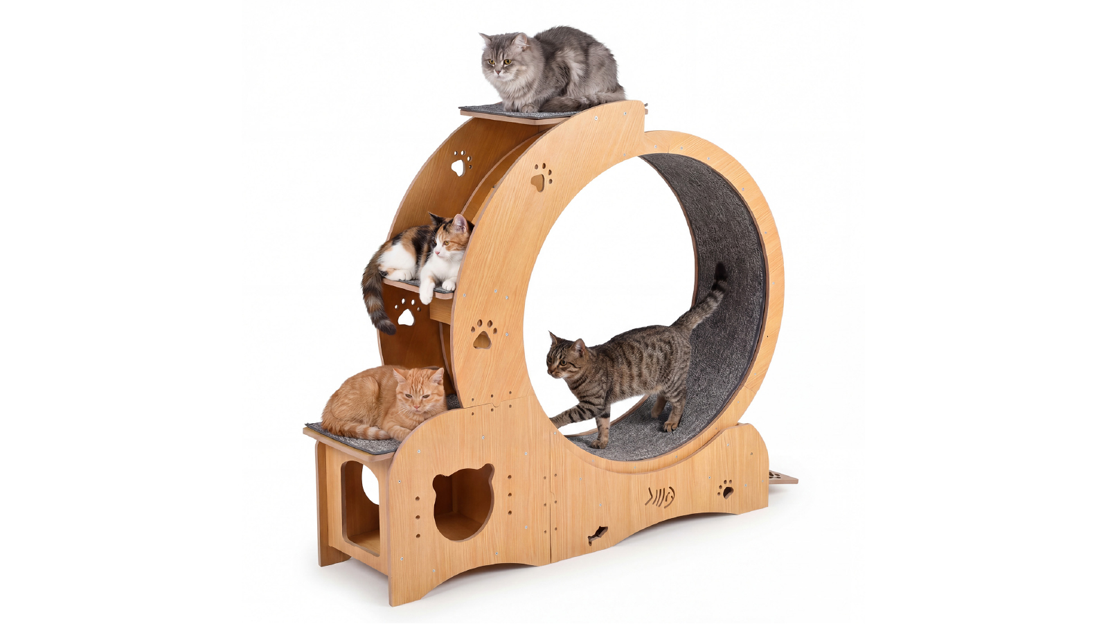 Advwin Cat All-in-One Exercise Wheel with Bed, Scratching Board, Food Bowl