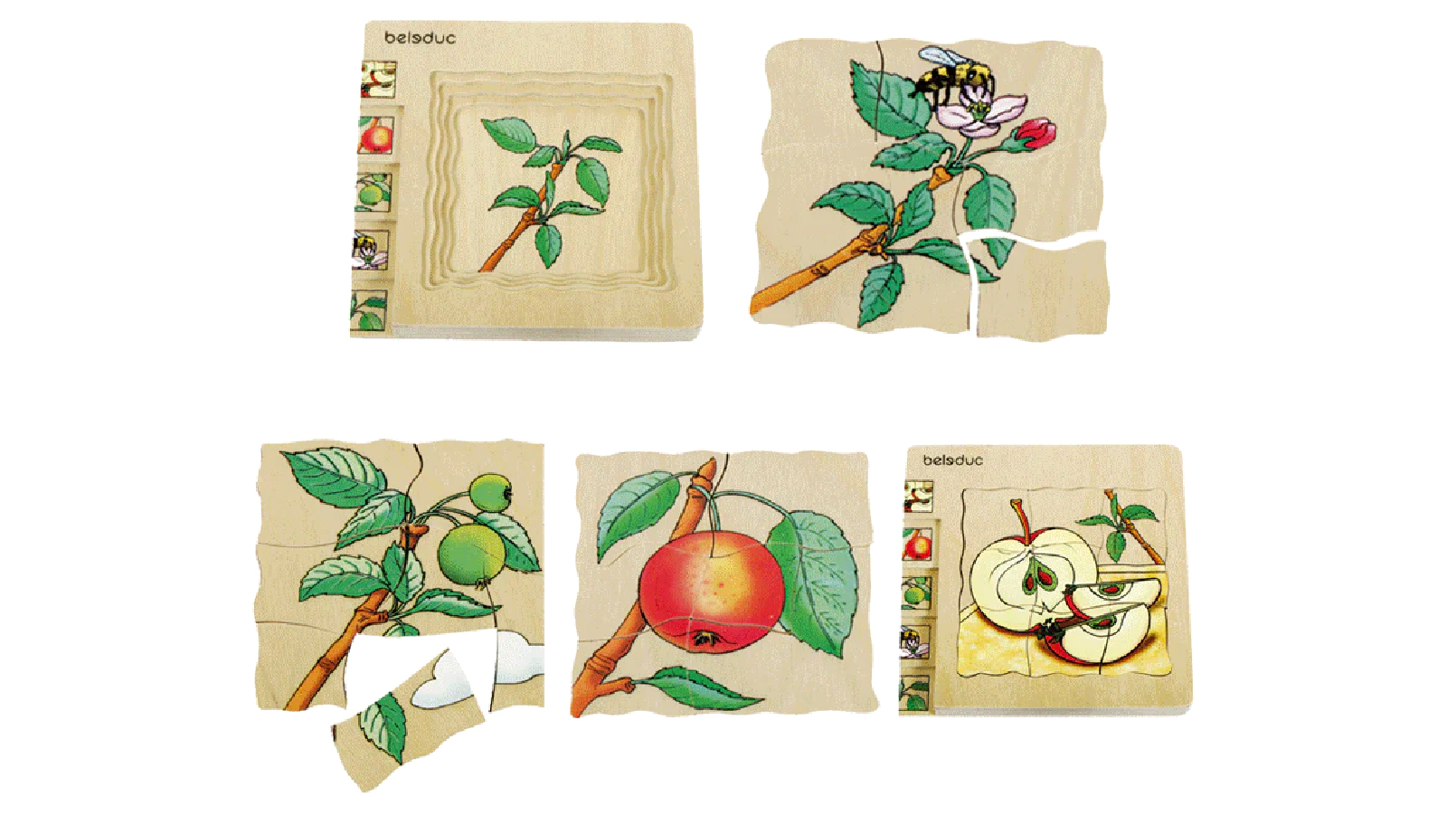 Beleduc Multilayer Puzzle - Apple