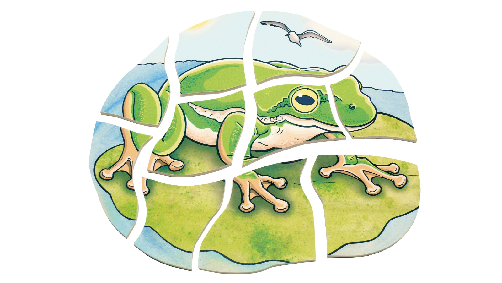 Beleduc  Life Courses Multilayer Puzzle - Frog