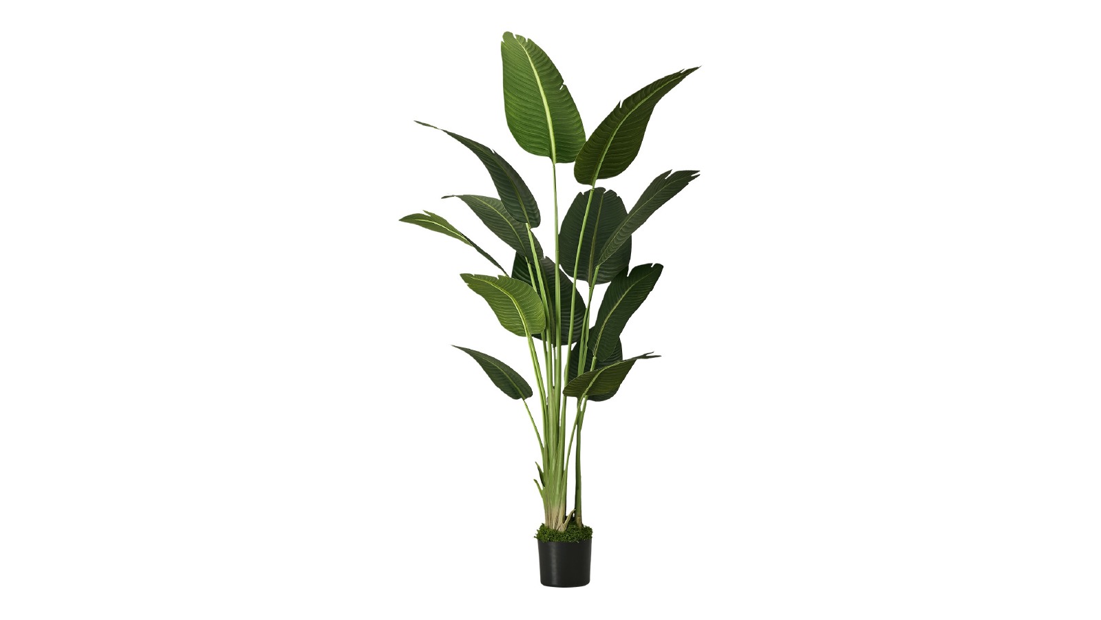 Livsip 180cm Artificial Bird of Paradise Plant