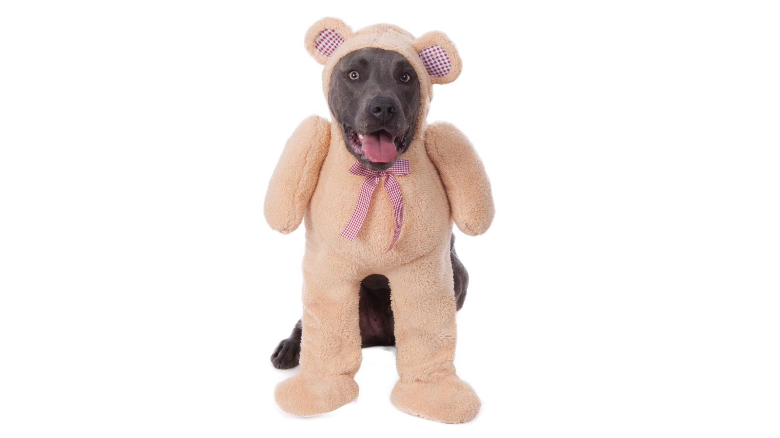 Pets Walking Teddy Bear Big Dogs Costume - Size XXX-Large