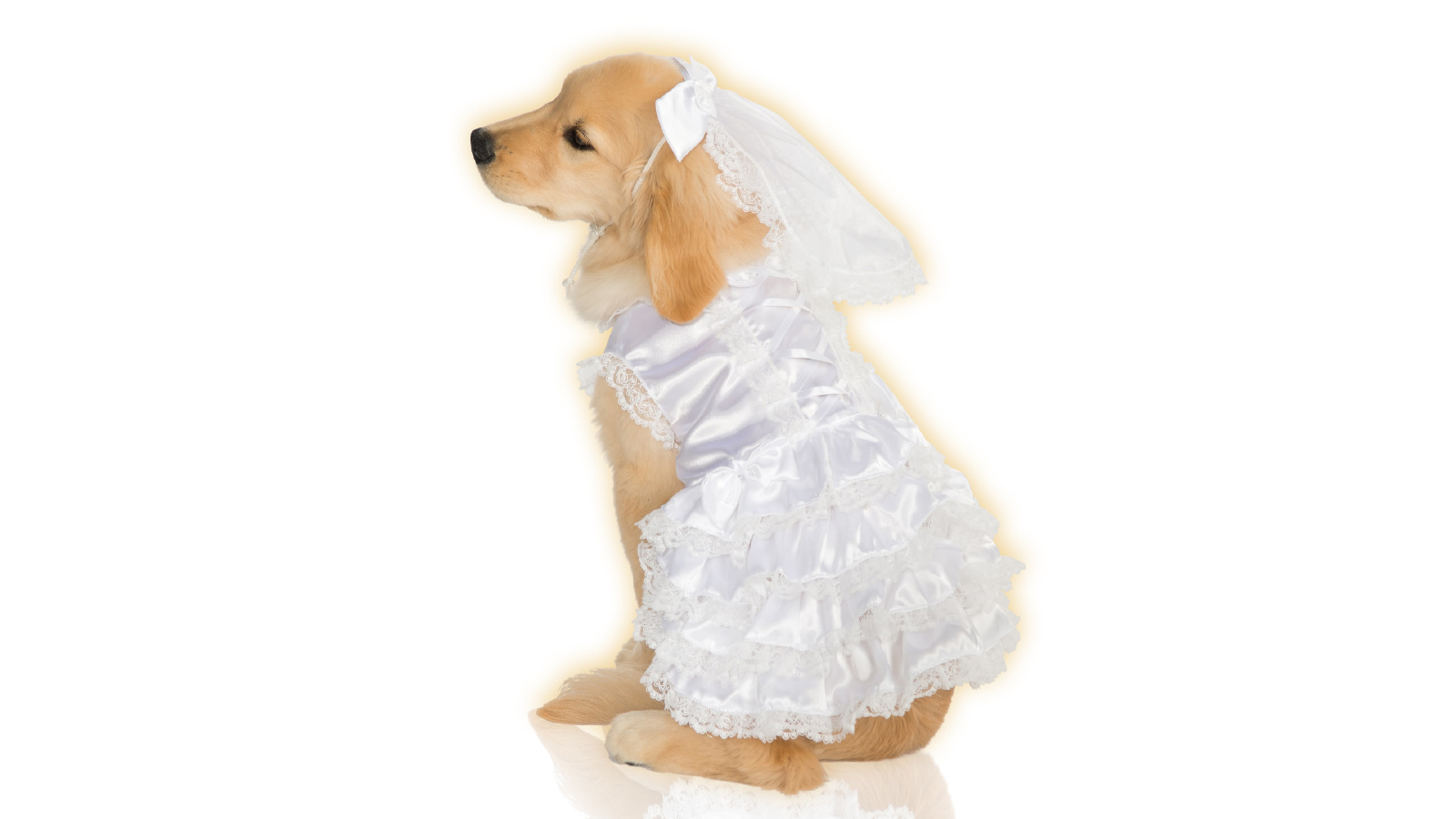 Pets Bride Pet Costume - Size Large