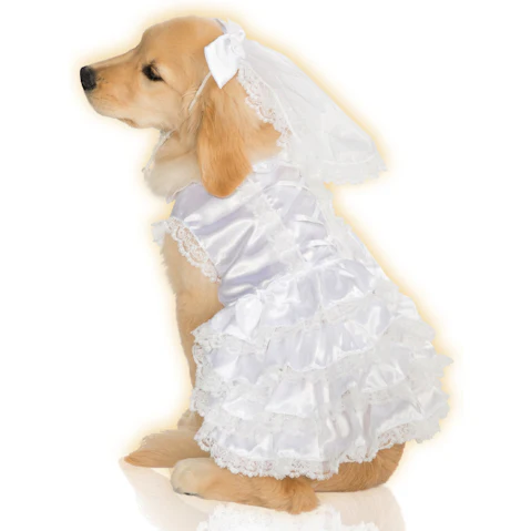 Pets Bride Pet Costume