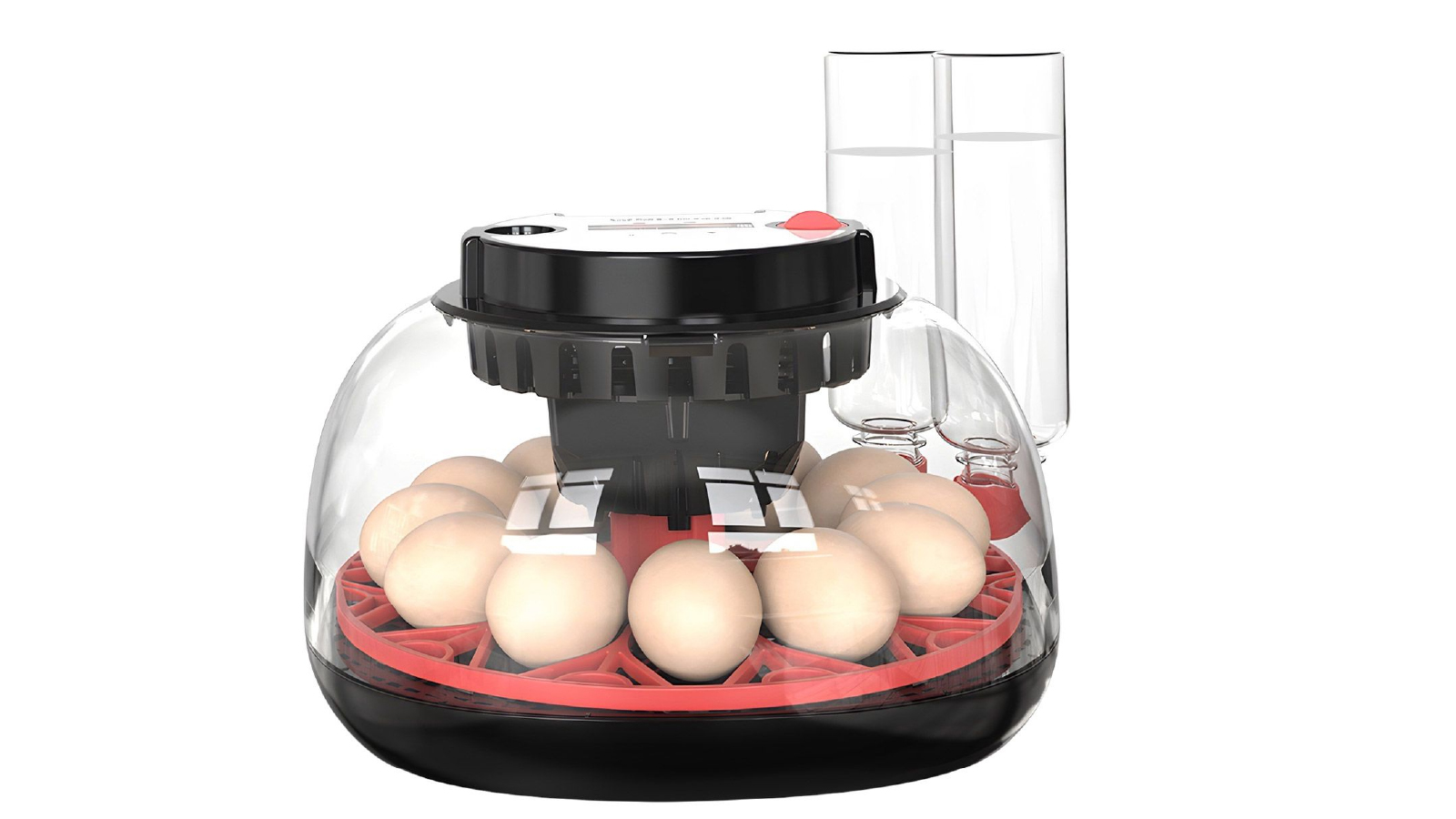 Pet Scene Digital Egg Incubator 12 to 24 Eggs Hatcher Breeder Automatic Hatching Machine 