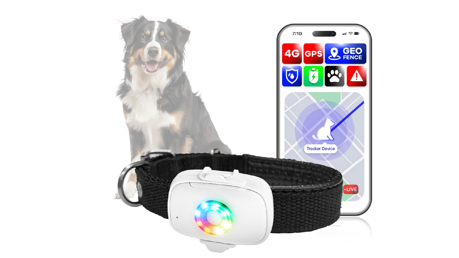 Vimel GPS Tracker Collar for Dogs