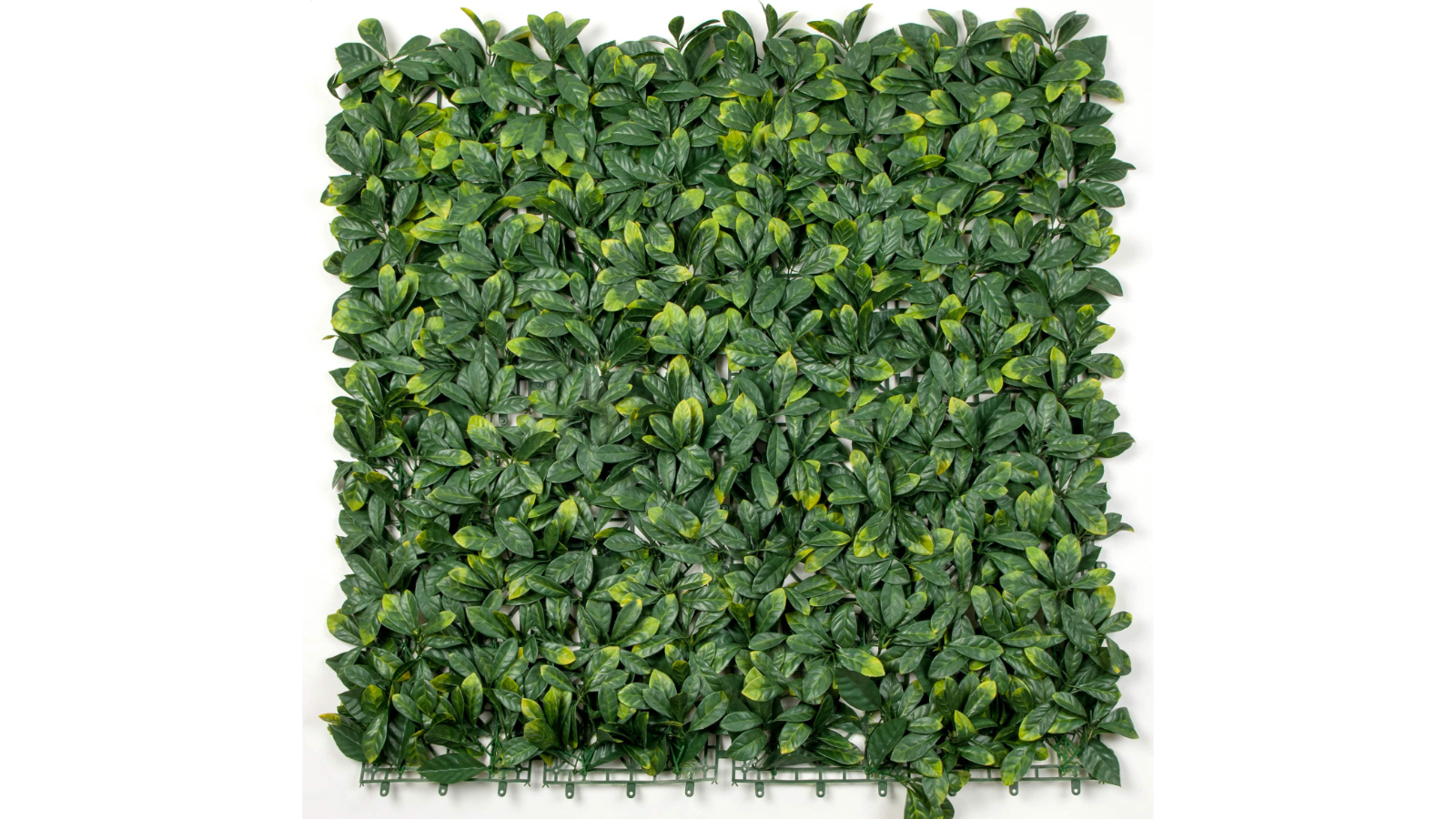 Designer Plants UV Resistant Laurel Hedge Panel