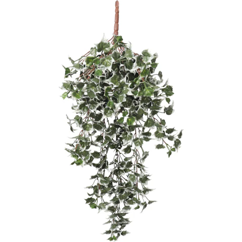 Designer Plants Artifcial Mixed Green/White Tipped Ivy Bush - 80cm