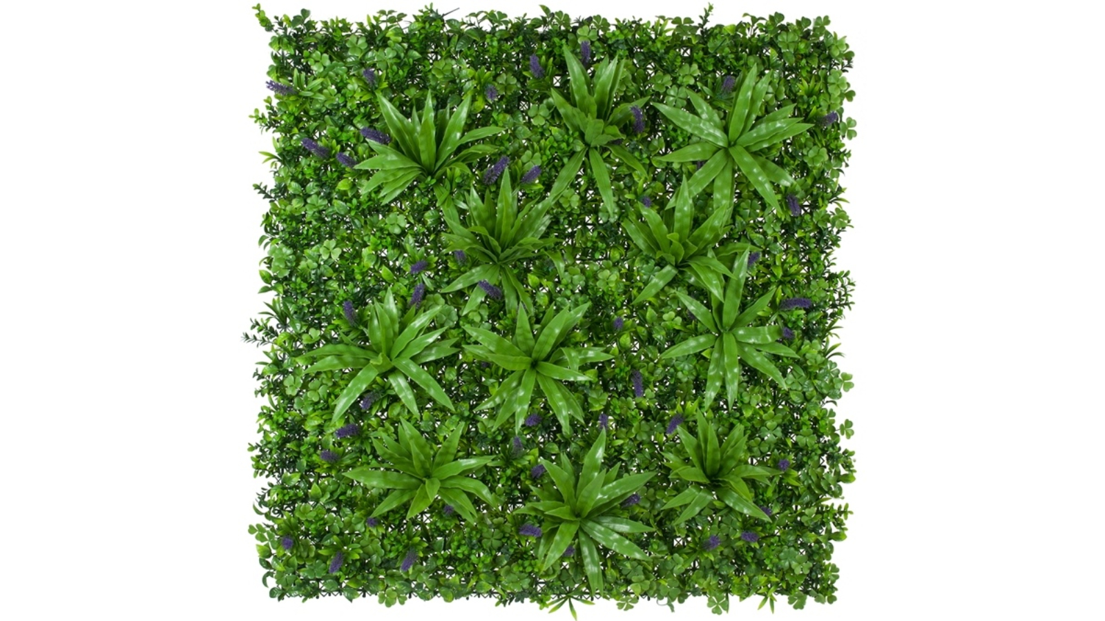 Designer Plants UV Resistant Lavandula Vertical Garden - 100 x 100cm