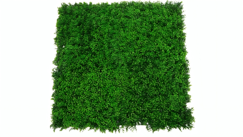 Designer Plants UV Resistant Luxury Deluxe Buxus (Bright) Hedge Panel - 100 x 100cm