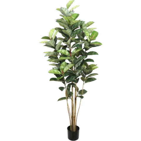 Designer Plants Artificial Ficus Elastica Rubber Potted Tree - 180cm