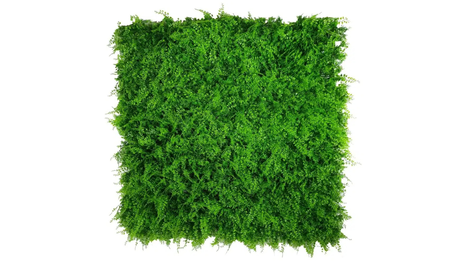 Designer Plants UV Resistant Mediterranean Fern Vertical Garden