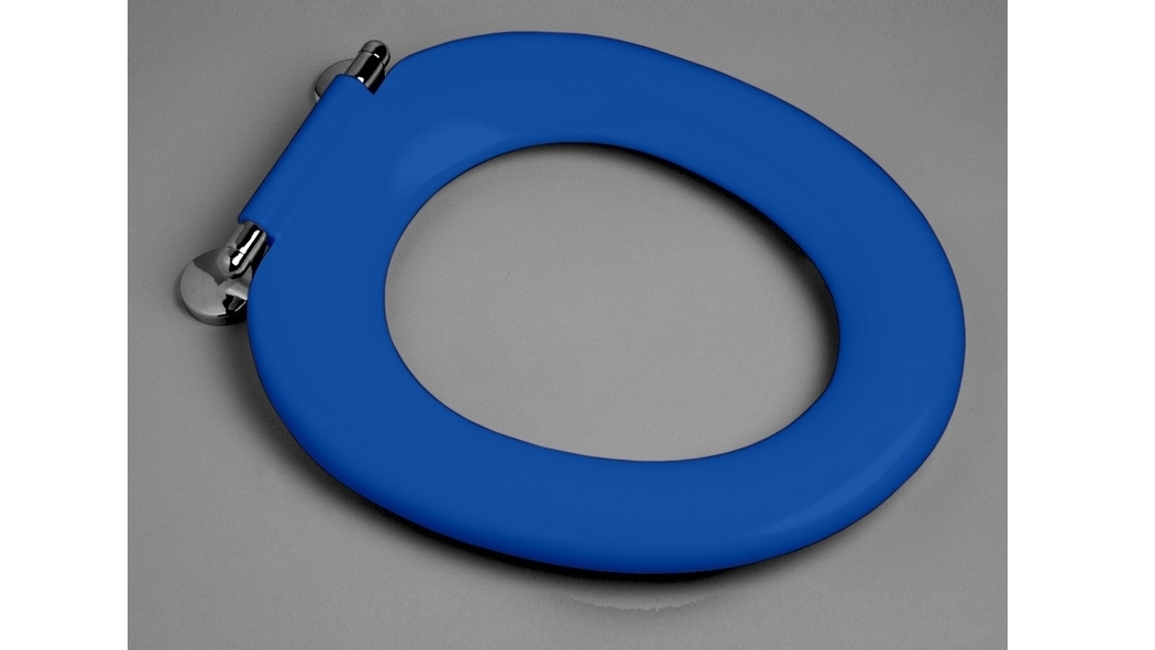 Caroma Pedigree II Single Flap Care Toilet Seat Sorrento Blue