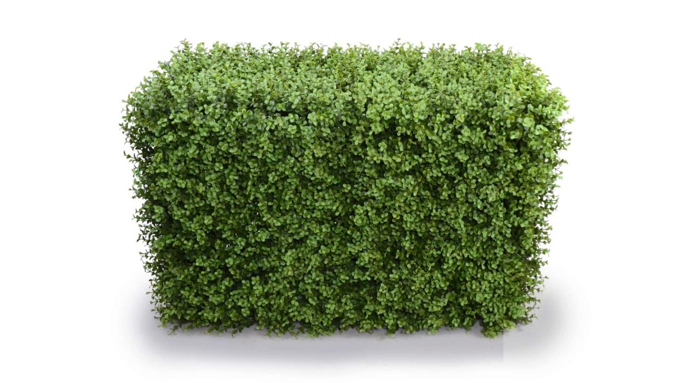 Designer Plants Artificial Deluxe Buxus Hedge - 100 x 50cm