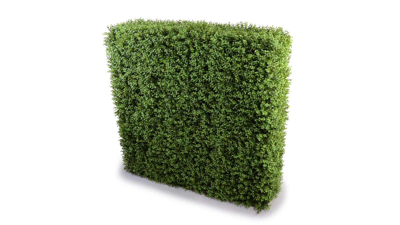 Designer Plants Artificial Deluxe Buxus Hedge - 150 x 150cm