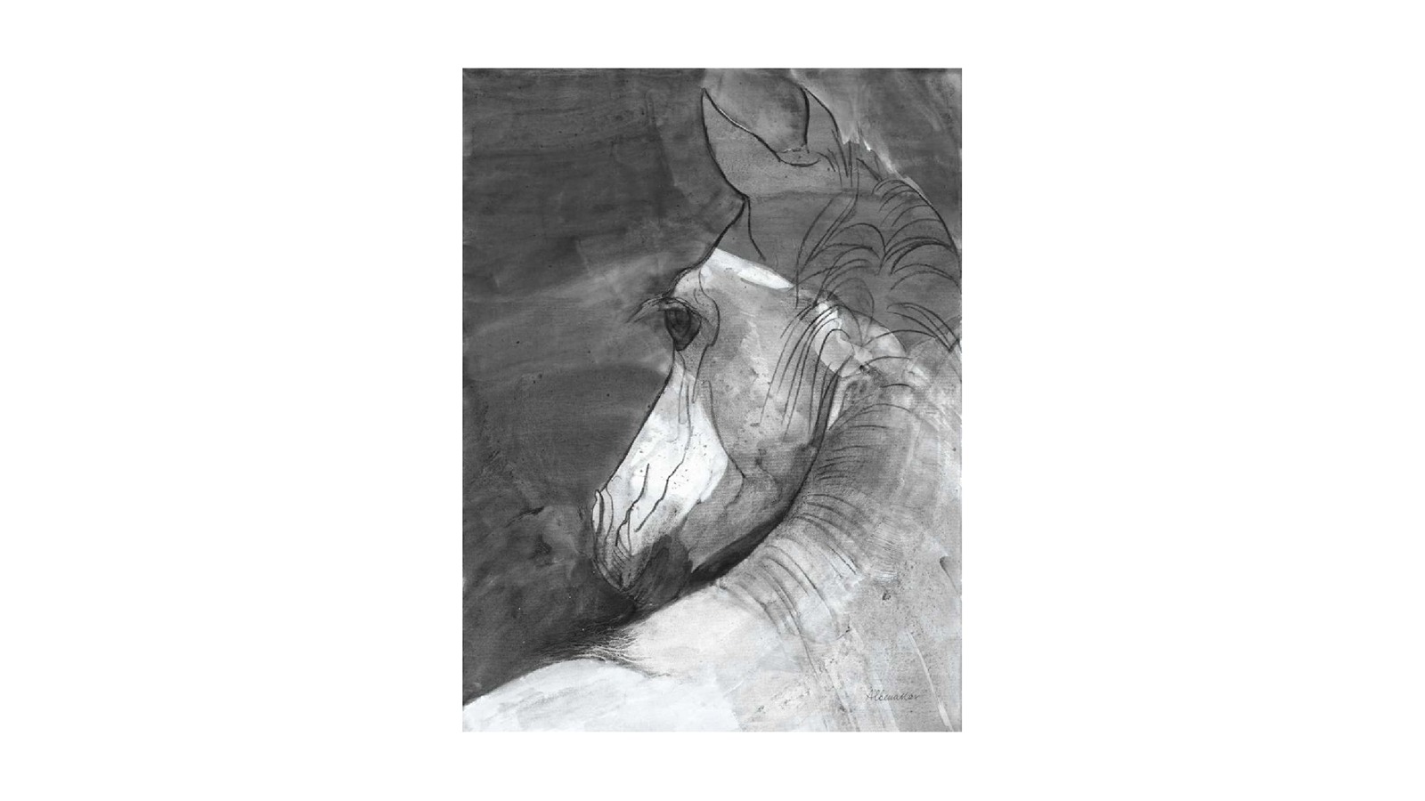La Grolla Shadow BW Unframed Canvas Wall Art
