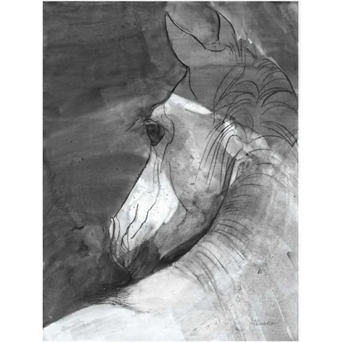 La Grolla Shadow BW Unframed Canvas Wall Art