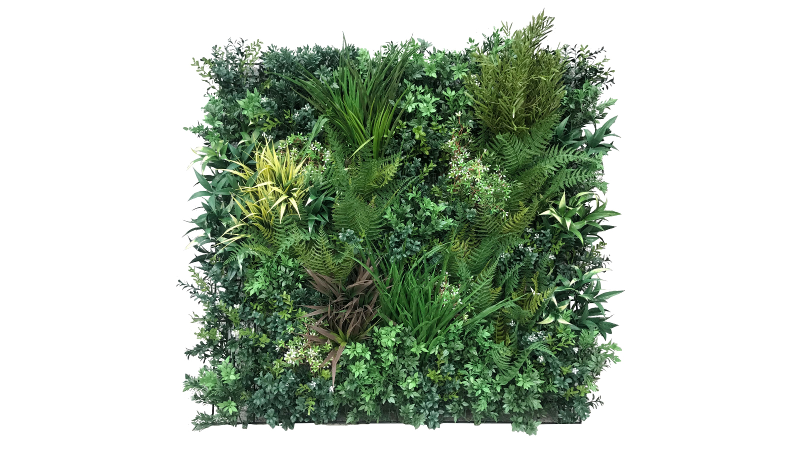 Designer Plants UV Resistant Autumn Greenery Bespoke Vertical Garden - 90 x 90cm