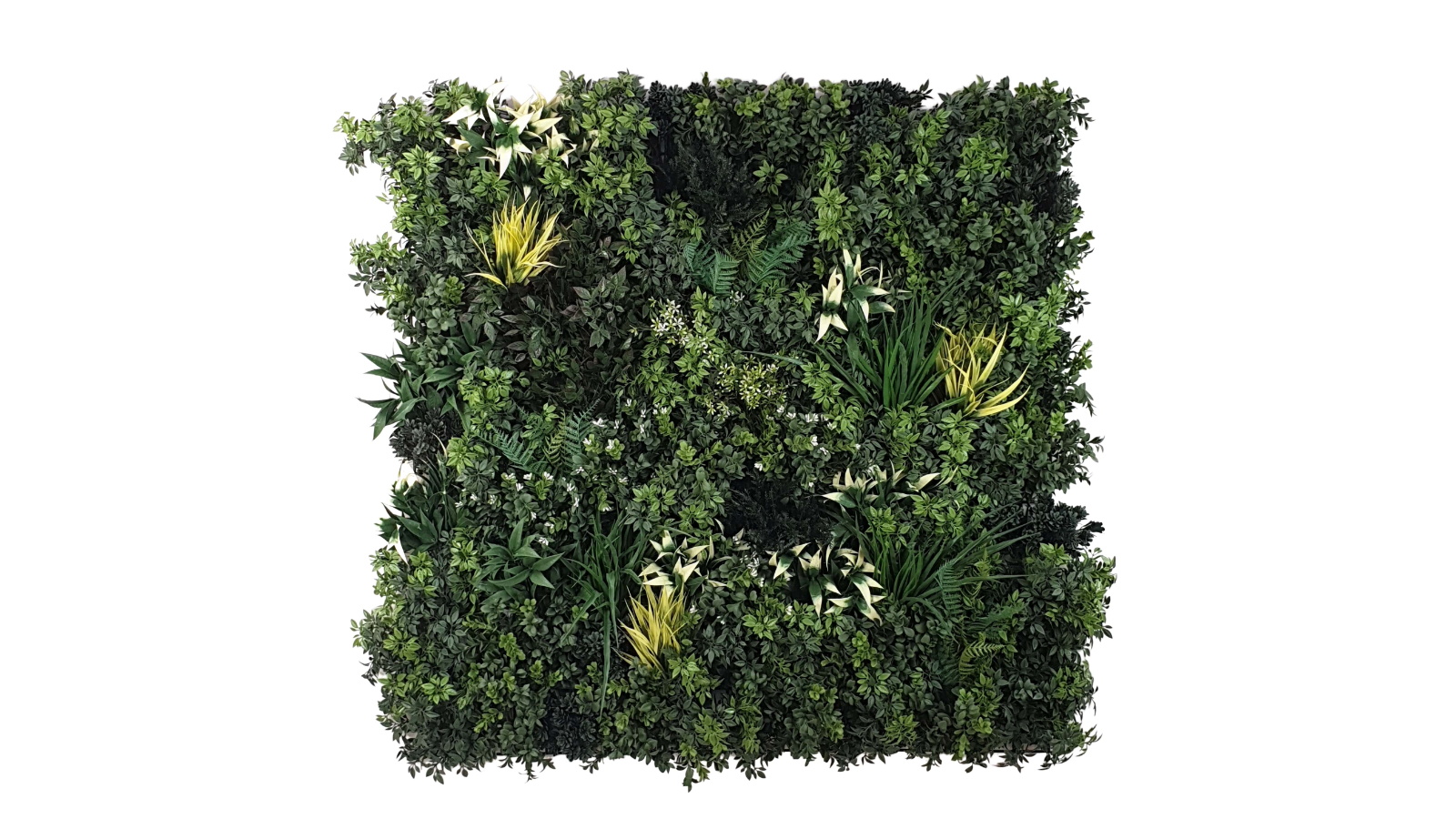 Designer Plants UV Resistant Green Forest Bespoke Vertical Garden - 100 x 100cm