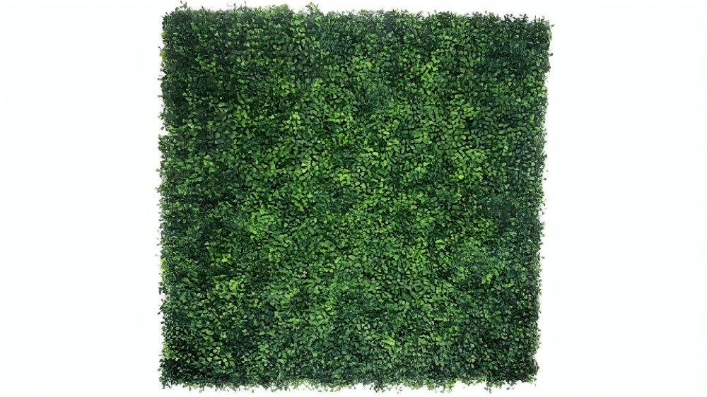 Designer Plants UV Resistant Mixed Boxwood Hedge Panel - 100 x 100cm