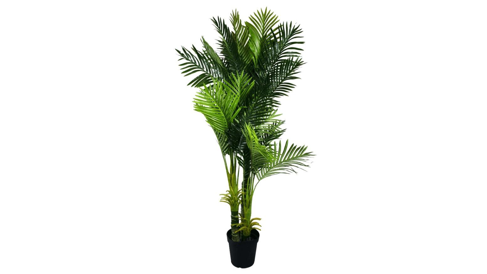 Designer Plants Artificial Multi-Trunk Hawaii Palm - 180cm