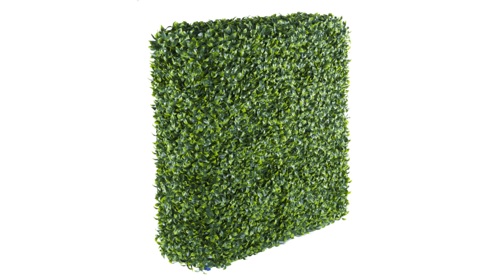 Designer Plants Artificial Jasmine Hedge Plant - 75 x 75cm