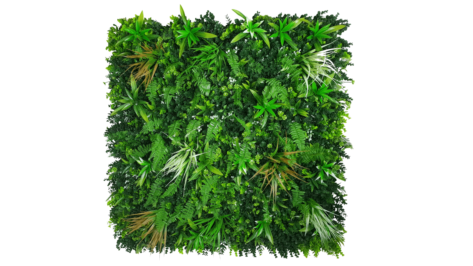 Designer Plants UV Resistant Wild Tropic Vertical Garden