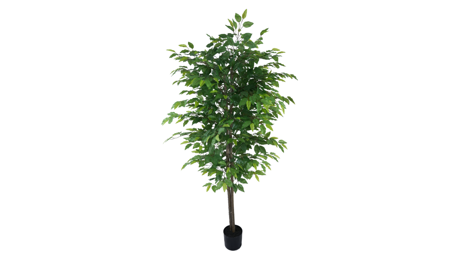 Designer Plants Artificial Mixed Green Bushy Ficus Tree - 180cm