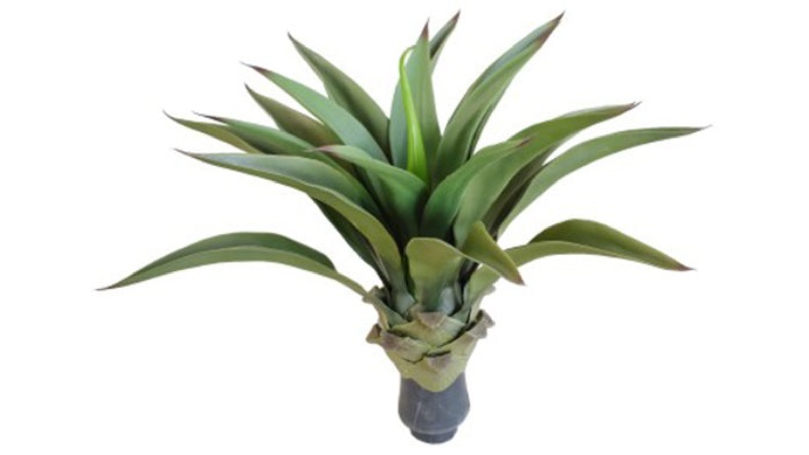 Artificial Plant Uv Agave No Pot 50cm Harvey Norman