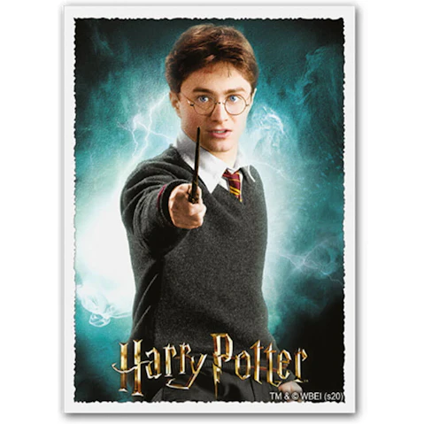 Dragon Shield Box of 100 Standard Card Size Matte Art Sleeve - Harry Potter