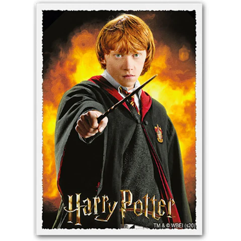 Dragon Shield Box of 100 Standard Card Size Matte Art Sleeve - Ron Weasley