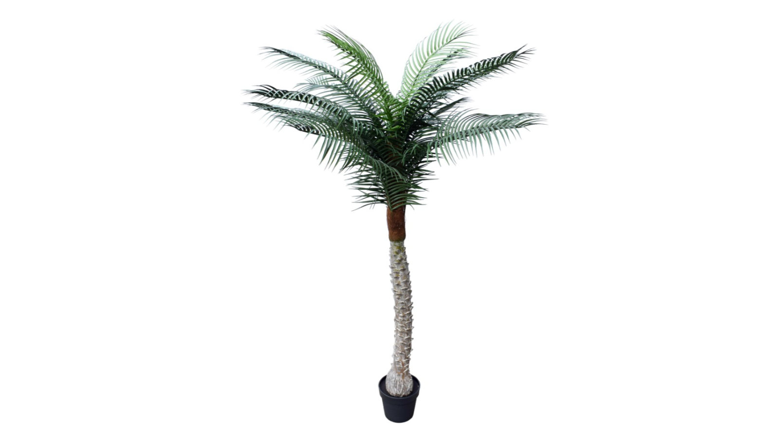 Designer Plants Artificial Tropical Phoenix Potted Palm Tree - 190cm