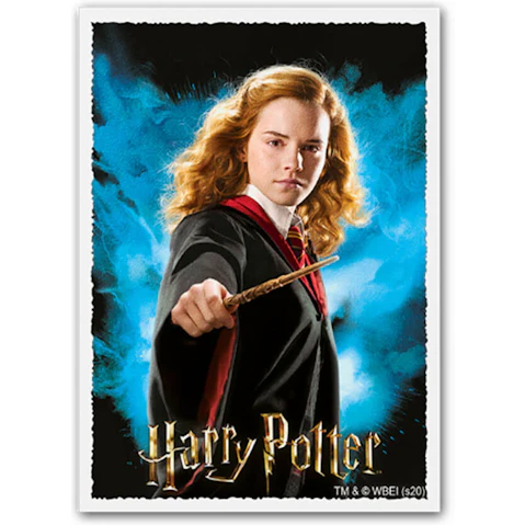 Dragon Shield Box of 100 Standard Card Size Matte Art Sleeve - Hermoine Granger