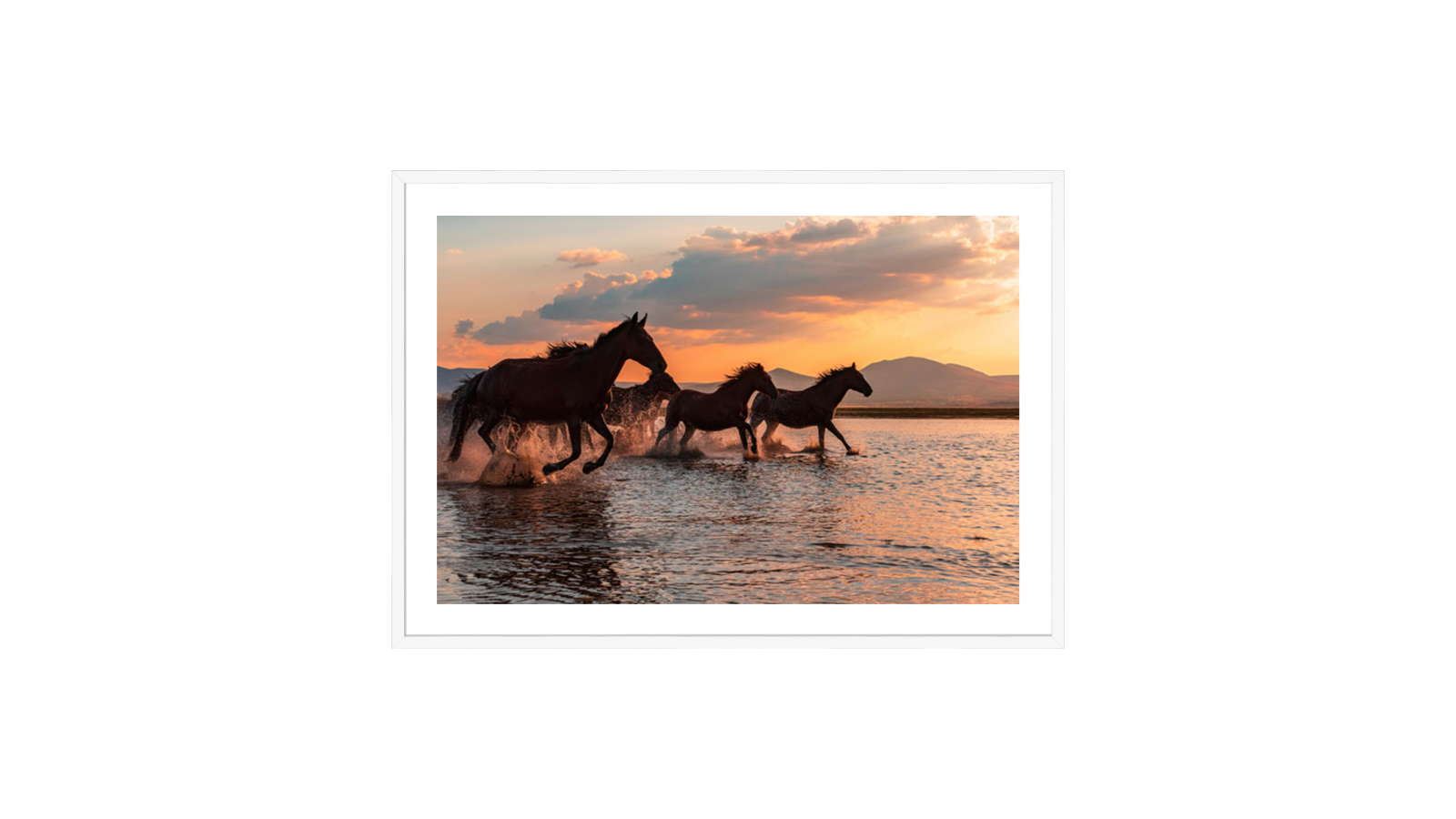 La Grolla Water Horses White Frame Wall Art - 104 x 74cm