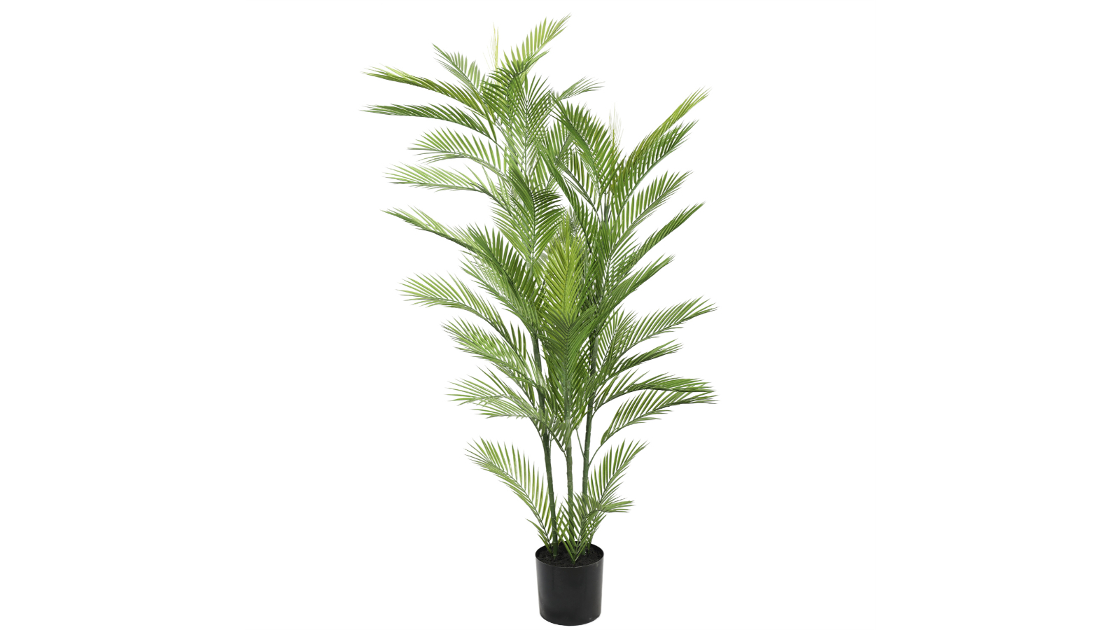 Designer Plants UV Resistant Real Touch Artificial Phoenix Palm Tree -180cm