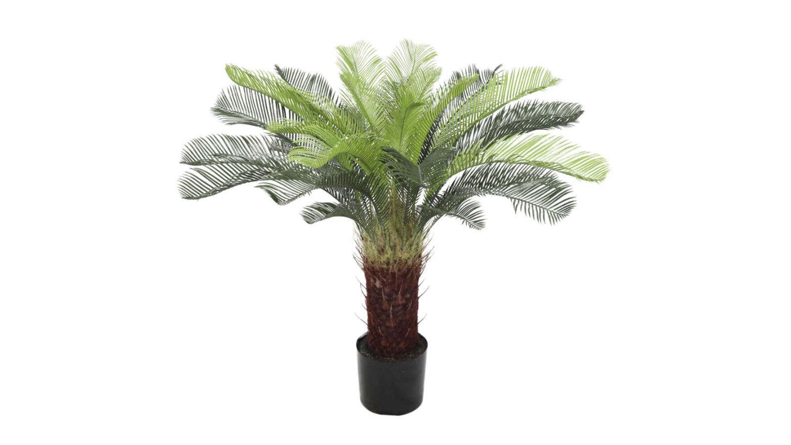 Designer Plants UV Resistant Artificial Cycad Palm Tree - 105cm