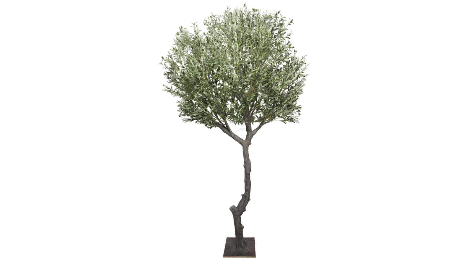 Designer Plants Extra Large Natural Olive Tree - 285cm