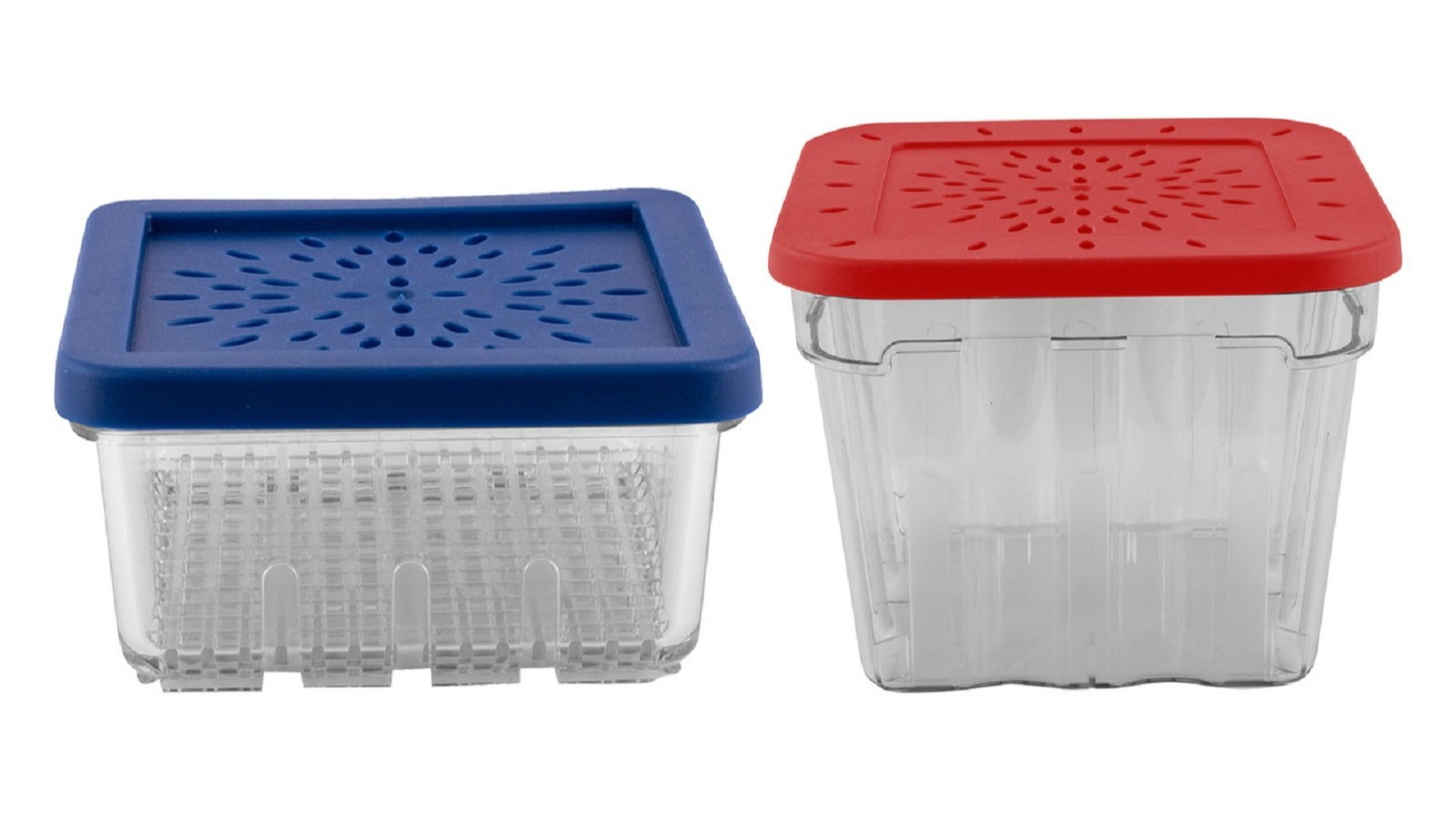 Avanti Berry Basket Food Storage - Set of 2