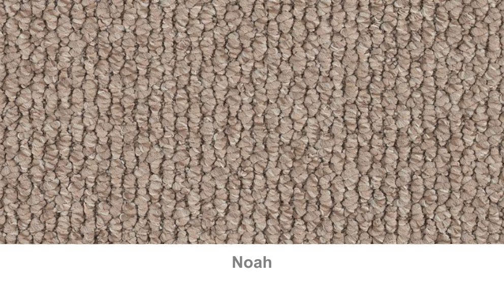 Daintree Valley Carpet Harvey Norman