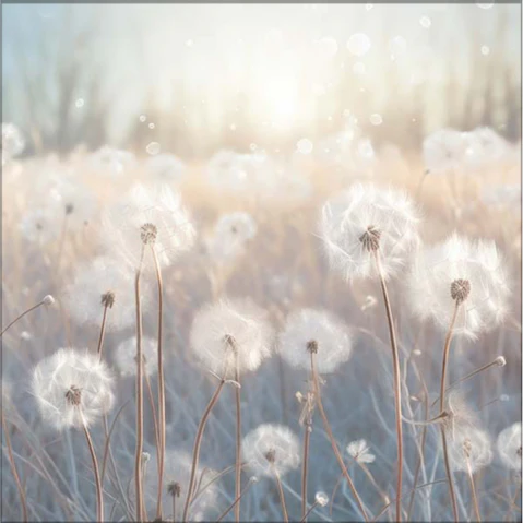 La Grolla Mystical Wild Dandelions II Unframed Canvas Wall Art