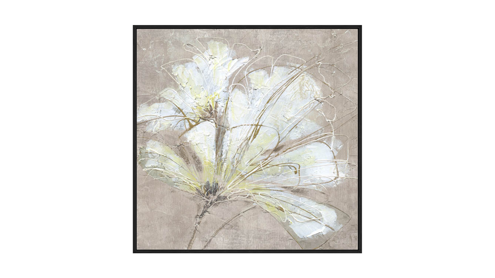 La Grolla White Flowers I Black Gallery Wall Art - 67 x 67cm